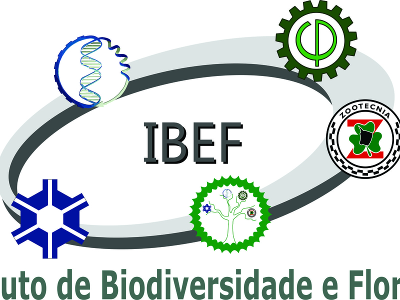 Logomarca do IBEF