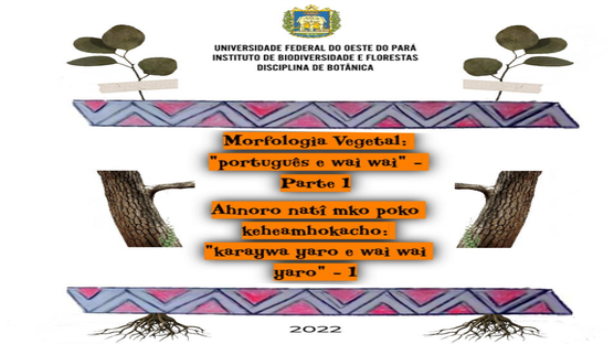 E-book Morfologia Vegetal: “português, e wai wai” – Parte 1