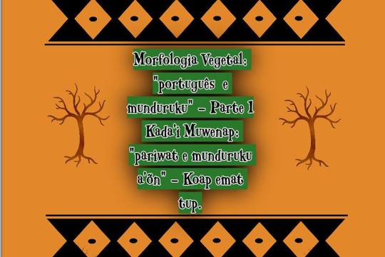 Morfologia Vegetal: “português e munduruku” – Parte 1
Kada’i Muwenap: “pariwat e munduruku a’õn” – Koap emat