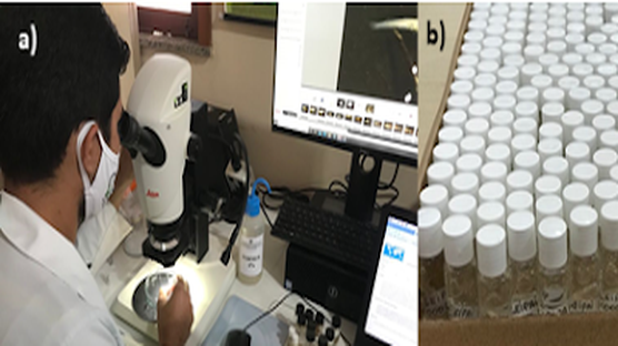Laboratório de Ecologia do Ictioplâncton e Pesca em Águas Interiores cria Coleção de Referência de Ovos e Larvas de Peixes