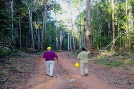 Professores do IBEF ministram oficinas de Manejo florestal para servidores de 11 órgãos ambientais