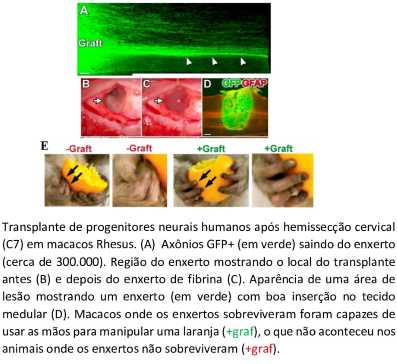 /media/file/site/ufopa/imagens/2020/5dc3bb078cddffc8bc08d990ebc9bba7_iMr3FsH.jpg