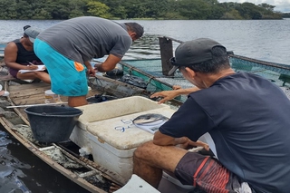 Iniciativa tem financiamento do Ministério da Pesca e Aquicultura (MPA) e apoio de instituições parceiras.