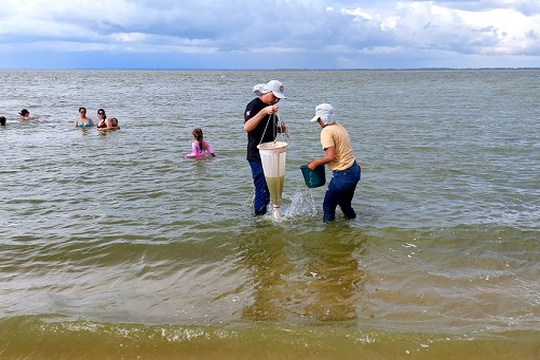 Análise buscou compreender a extensão e os impactos de uma floração de cianobactérias ocorrida em janeiro deste ano, avaliando a presença de toxinas associadas e seus possíveis efeitos ambientais e à saúde pública.