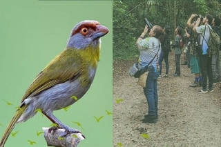 Atividade prepara moradores a desenvolver técnicas a atuar no turismo.