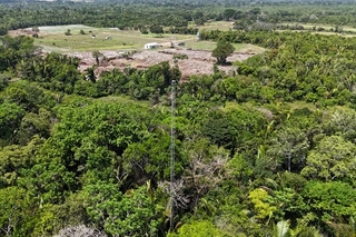 Iniciativa faz parte do projeto CarbonARA-Brazil.