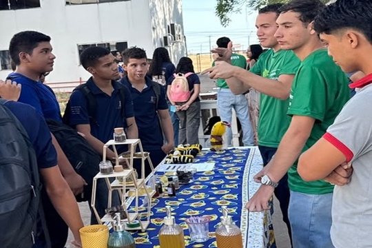 Visita foi realizada no meliponário didático da EETEPA.
