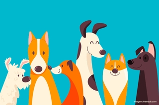 Atendimento direcionado a animais com suspeita de sarna