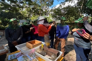 Visitantes foram ao Bosque das Abelhas para ação do Projeto Meliponicultura Urbana